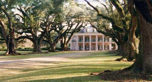Oak Alley Plantation : la plus connue des maisons de planteurs en Louisiane