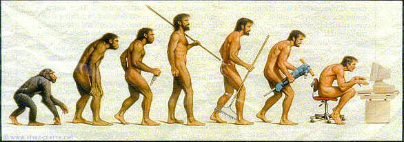 Darwin aurait pu nous prévenir...